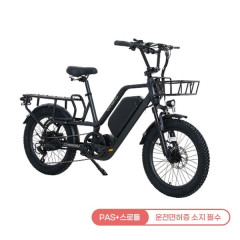 [레이윙] 캐리 전기자전거 CARRY_20A (팬텀블랙)